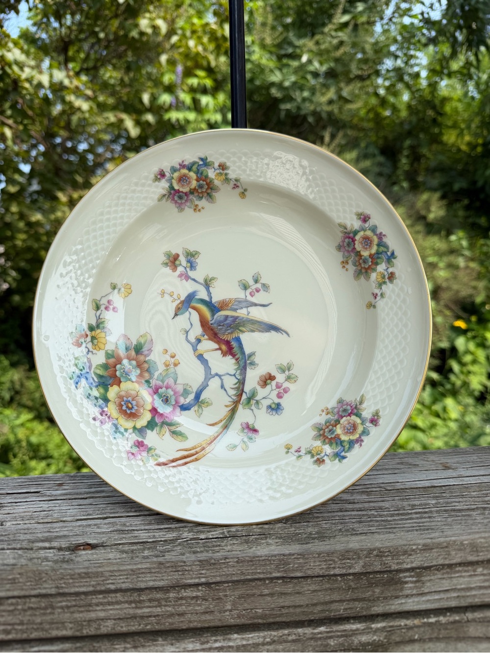 Thomas Ivory Ceramic Bird Of Parasise 9.25” Across Shallow Bowl 3563 Germany